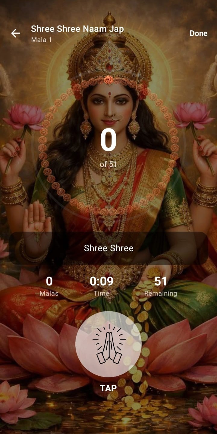 Naam Jap App - Progress tracking dashboard showing daily japa counts and streaks